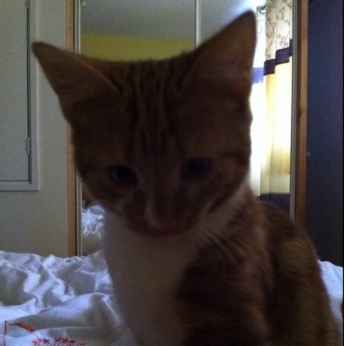 golfmadchef's profile picture. 