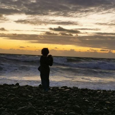Ms_Bradock's profile picture. 