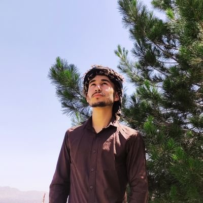 HedayatMer3745's profile picture. 