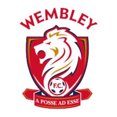 The Official Wembley FC @Twitter account. 🦁⚽️ Members of the Cherry Red Records CCFL Premier North. @ComCoFL | @MiddxFA | @FA | #LionsTogether
