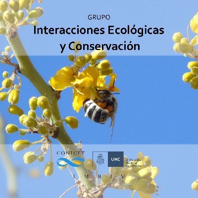 Grupo de Interacciones Ecológicas y Conservación del Instituto Multidisciplinario de Biología Vegetal (UNC-CONICET)