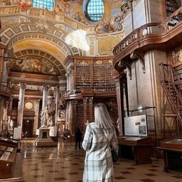 McNesoo48490's profile picture. 