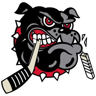 Welcome to Hockey Valley! Official Twitter feed of the Alberni Valley Bulldogs Junior Hockey Club.