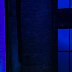 asdfar4casd's profile picture. Bob Smith