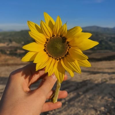 bkttngnr's profile picture. 