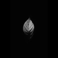 xxux11 ᯲ ̸ (@11xuxx) 's Twitter Profile Photo xxux11 ᯲ ̸ (@11xuxx) 's Twitter Profile Photo