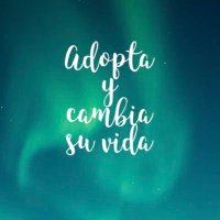 Adopta_atizapan (@adoptaatizapan) 's Twitter Profile