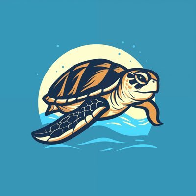 TheSaltyTurtle_'s profile picture. Stay Salty 𓆉