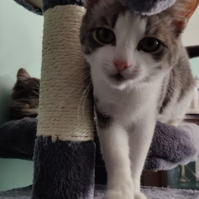 27|🅱️e🅰️rdmin Crackheads|
Skyrim Adventures 📖
Genshin Impact Adventures ✨
🐶😺😺
(🐱😇🤍)
♌ She/her