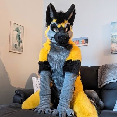 ⚠️Occasional NSFW themes/ Age 18+ to follow/ Yellow GShep/♂️/ Single Bachelor 💛/ I snarl at things/ Can be suggestive & flirtatious/ 👔 @MadeFurYou/ TG: YGShep