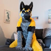 Xion (Offline) (@xionshep) 's Twitter Profile