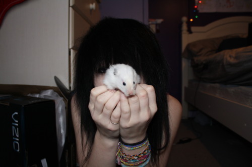 SayHiKatie's profile picture. I'm Katie I'm also 16. I have a rat called Topaz.. Talk to me?