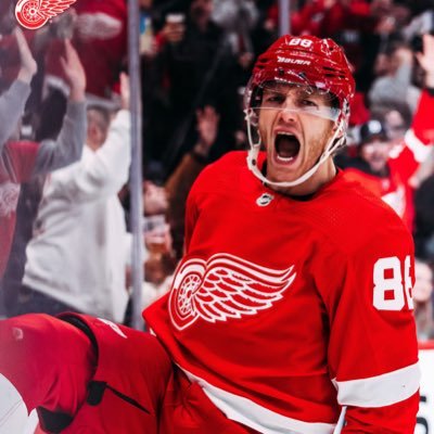 I love the Detroit Red Wings