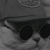 denzel. (@denzel1tapiwa) 's Twitter Profile Photo