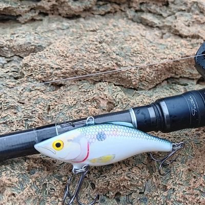 アメリカで生活してる釣りバカです。特にルアー釣りがめちゃくちゃ好きで自分でもルアー作ったりしてます！🐟 youtubeも最近のんびりはじめました！https://t.co/AZknIc9fle 動画内の音楽は全部自分で作ってギターだけ入れてます。