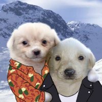 Derek Wongso (@fortcless) 's Twitter Profile