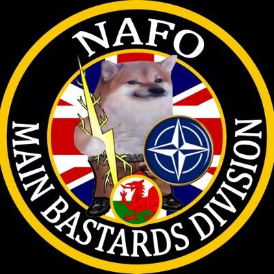 Proud to be part of the Main Bastards Division on the Special Bonking Operation. Donate to defeat Russia & end the war: https://t.co/FZ2GxAeiWR #NAFO