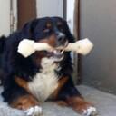 Gina Post-Schrepfer - @GinaPost - Twitter