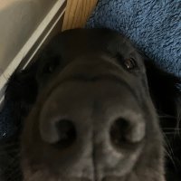 Chay Deshay (@chaydeshay) 's Twitter Profile