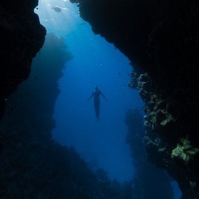 ThemisT24's profile picture. 