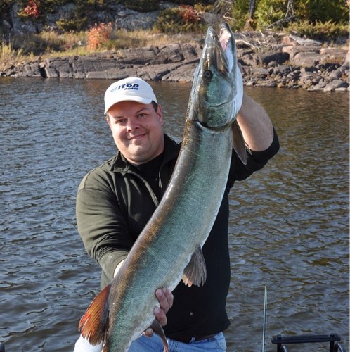 bd001ca's profile picture. 