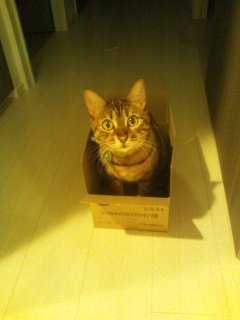 techmath36997's profile picture. 