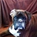 daniel ansell - @danielansell97 - Twitter