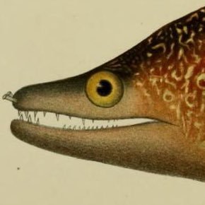 J6o2y1f8u3l's profile picture. 基本的に日記です 楽しい事、面白い事に興味あり、めんどくさいのが苦手 特に音楽が好き