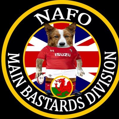 Fella Commanding - Welsh Company, #NAFO Main Bastards Division

Prif Fella, Cwmni Cymreig, SFGI Prif Beistryd