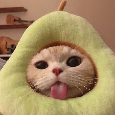 plu5hiesss's profile picture. 