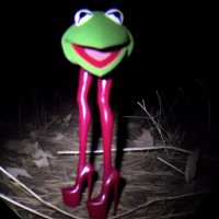 Kermit the Forg(@samwightt) 's Twitter Profile Photo