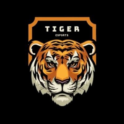 tigeresportspt Profile Picture