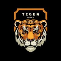 Tiger eSports(@tigeresportspt) 's Twitter Profile Photo