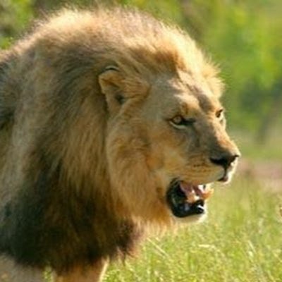 ArekRusine43086's profile picture. 