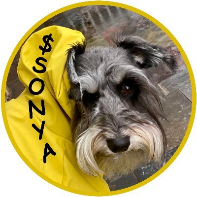 dogwifcoat Profile Picture