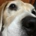 Carlos Gonzalez Bustos (@deedoverde1) Twitter profile photo Carlos Gonzalez Bustos (@deedoverde1) Twitter profile photo