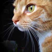 Judith Smith (@s66554694) 's Twitter Profile