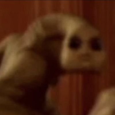 blowkobs Profile Picture
