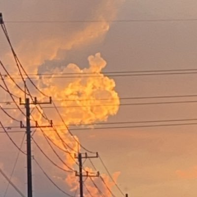 Koreanforeign's profile picture. 