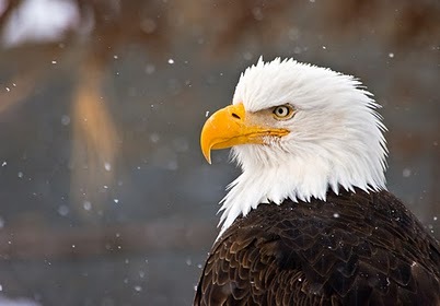 4GGGG4's profile picture. NNN Brokers USA Commercial Real Estate has been utilizing tax deferred 1031 exchanges for its clients, assisting many long term owners with large equities.