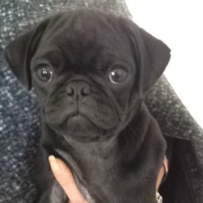 DeborahAnne29's profile picture. 