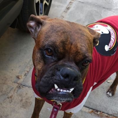 Gamer. Moonkin 24/7 2x FSU grad, MPA. Public servant. Passion for disaster preparedness. Tweets are my own. Neurodivergent af. Dog and Tarantula Mom.