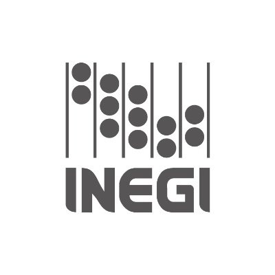 INEGI INFORMA Profile