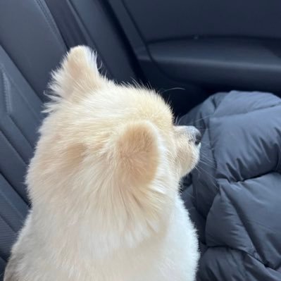 haechanays's profile picture. 