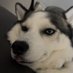 NypsYYY (@nypsyyy) Twitter profile photo NypsYYY (@nypsyyy) Twitter profile photo