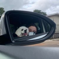 laura (@o_lauraaa) 's Twitter Profile