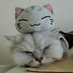 🇯🇵USA🐱 (@mamoruu7) Twitter profile photo 🇯🇵USA🐱 (@mamoruu7) Twitter profile photo