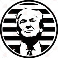 Nuclear Codes(@TrumpDocument) 's Twitter Profile Photo