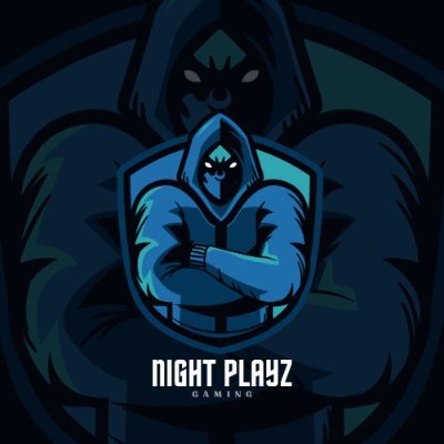 night_playz007 Profile Picture