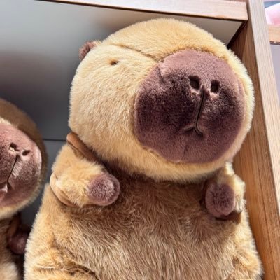 vitaDMさんのプロフィール画像